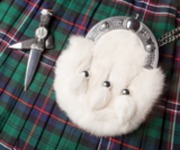 Article_show_teaser_image_scots